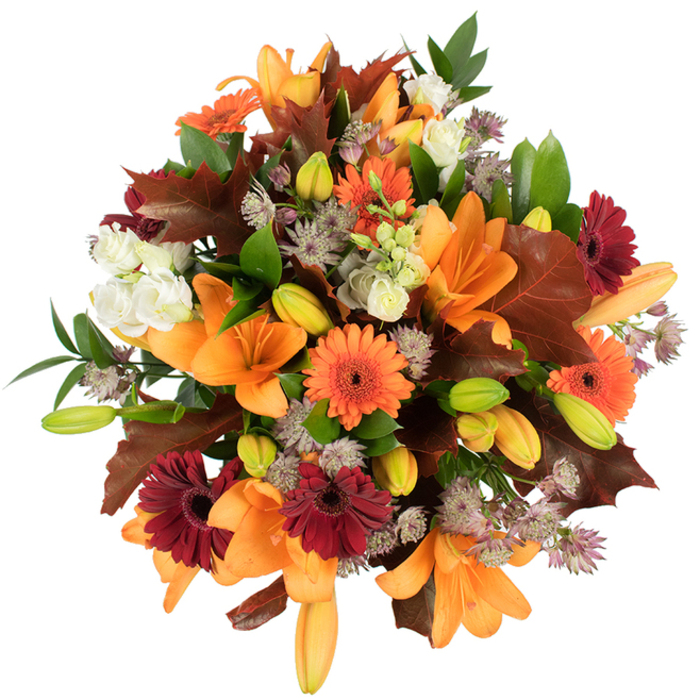 A lush, slightly elevated overhead image of a hand-tied autumn bouquet, composed with the layered rhythm and textural contrasts of a fall hedgerow. Several prominent, fully opened orange Asiatic lilies take centre stage, their large, satiny petals curving outward like miniature suns; nearby, numerous pointed green and pale-orange lily buds sit snugly, suggesting the arrangement will continue to evolve over the week. Bright orange Gerberas and deeply hued burgundy-red Gerbera daisies are placed as cheerful blossoms with dark centres, creating a lively pattern of colour. Interlaced soft, creamy-white Lisianthus or small rosebuds lend ruffled, romantic moments against the bolder tones, and muted-lilac Astrantia clusters contribute an airy, starry texture that breaks up the solidity of the larger blooms. Deep, reddish-brown lobed leaves - evocative of oak or maple in their autumnal decline - are artfully arranged to reinforce the seasonal narrative, balanced by fresh green leaves and slender stems that give the bouquet structure and life. The composition feels deliberately abundant yet refined, the flowers densely packed to form a full, rounded profile that would sit beautifully as a Thanksgiving centrepiece or as a warm birthday surprise for someone who loves seasonal charm. The lighting is crisp and bright, accentuating petal detail and leaf veins; for Shooters Hill locals, the bouquet calls to mind walks through nearby Oxleas Wood and the golden litter of paths in late autumn.